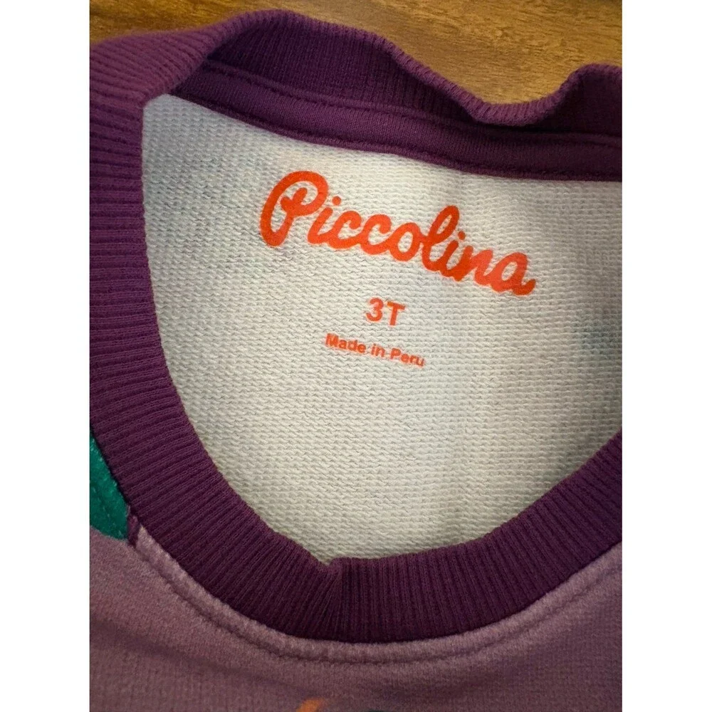 NWOT Piccolina Sweatshirt Dress, Bug Print, Size 3T